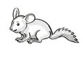 Chinchilla or Chinchilla Lanigera Endangered Wildlife Cartoon Mono Line Drawing