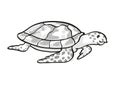 Hawksbill turtle Endangered Wildlife Cartoon Mono Line Drawing