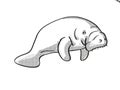 Manatee or sea cow Endangered Wildlife Cartoon Mono Line Drawing