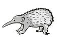 Western Long-beaked Echidna Endangered Wildlife Cartoon Mono Line Drawing Royalty Free Stock Photo