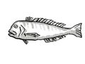 Australian Barred Tilefish Fish Cartoon Retro Drawing