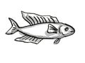 Butterfish New Zealand Fish Cartoon Retro Drawing Royalty Free Stock Photo