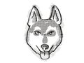 Alaskan Klee Kai Dog Breed Cartoon Retro Drawing Royalty Free Stock Photo