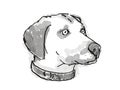 Black Mouth Cur Dog Breed Cartoon Retro Drawing