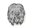 Black Russian Terrier Dog Breed Cartoon Retro Drawing