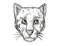 Clouded Leopard or Neofelis nebulosa Endangered Wildlife Cartoon Retro Drawing