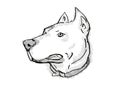 Dogo Argentino or Argentinian Mastiff Dog Breed Cartoon Retro Drawing