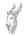 Markhor Endangered Wildlife Cartoon Retro Drawing