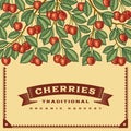 Retro cherry harvest card Royalty Free Stock Photo