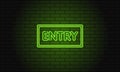 Retro club inscription Entry. Vintage electric signboard with bright neon lights. Green light falls on a brick background. Vector