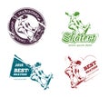 Retro color skateboarding labels, logos and stickers vector set Royalty Free Stock Photo