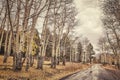 Retro color toned autumn road after the rain Royalty Free Stock Photo