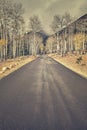 Retro color toned autumn road after the rain. Royalty Free Stock Photo