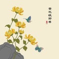 Retro colorful Chinese style vector illustration elegant yellow chrysanthemum blossom flower next to the rock and butterfly flying