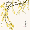 Retro colorful Chinese style vector illustration winter jasmine blossom