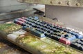 Retro computer keyboard covered with moss. Focus on the center of the frame