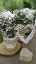Retro decoration of the table with white daisy bouquets in glass jars, wooden heart box and wattle white heart in the garden Royalty Free Stock Photo