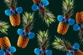 Retro design tropical style concept.Pattern with hipster pineapple summer decoration background Royalty Free Stock Photo