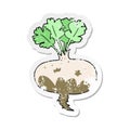 retro distressed sticker of a cartoon muddy turnip Royalty Free Stock Photo