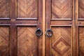 Retro door with beautiful wooden texture.