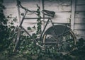 Retro dutch bike