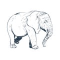 retro elephant design