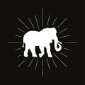 Retro elephant silhouette logo