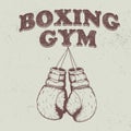 Retro emblem with old boxing gloves Royalty Free Stock Photo