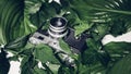 Retro film camera in green leaves, top view. Vintage technology