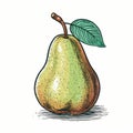 Retro Filter Style Hand Drawn Ripe Pear Illustration