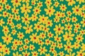 Seamless floral pattern, liberty ditsy print with simple small flowers, yellow daisies on green. Vector. Royalty Free Stock Photo