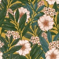 Retro floral seamless pattern. Wild garden background. Vintage fabric design. Vector illustration Royalty Free Stock Photo