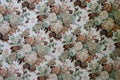 Retro floral wallpaper on wall