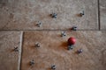 Retro game of jacks with red ball on marble floor Royalty Free Stock Photo