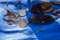 Retro glasses on blue burlap. Archaeological excavations of criminologists for examination. Background