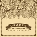 Retro grapes harvest card brown Royalty Free Stock Photo