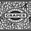 Retro Grapes Harvest Label Black And White