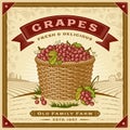 Retro grapes harvest label with landscape Royalty Free Stock Photo