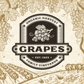 Retro grapes label on harvest landscape