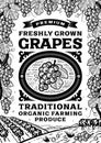 Retro grapes poster black and white