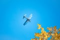 Retro green biplane plane in the blue sky Royalty Free Stock Photo