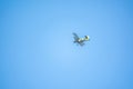 Retro green biplane plane in the blue sky Royalty Free Stock Photo