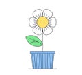 Retro groovy daisy flower in pot. Vintage hippie cartoon chamomile in flowerpot sticker. Hippy style trendy y2k funky Royalty Free Stock Photo