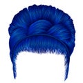 Retro hairstyle babette with pigtail.women blue hairs . fashion