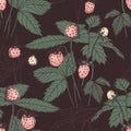 Retro hand drawn print of fragaria on dark background. Vector seamless pattern for fabric