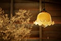 Retro hanging lamp in vintage style with rough wooden wall decorate by Dry grass earthenware