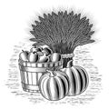 Retro harvest still life black and white Royalty Free Stock Photo