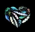 Retro heart - bird feathers. Vintage watercolor at black background