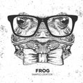 Retro Hipster animal frog. Hand drawing Muzzle of frog