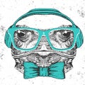 Hipster animal frog. Hand drawing Muzzle of frog Royalty Free Stock Photo
